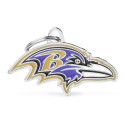 NFL Baltimore Ravens ID Tag
