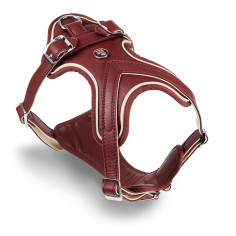 Hermitage H-Harness in Genuine Leather Bordeaux and Cream