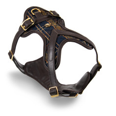 Hermitage Tartan H-Harness in Genuine Brown Leather