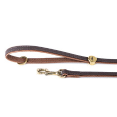 Laisse Bilbao en Fibre Synthétique Marron | MyFamily