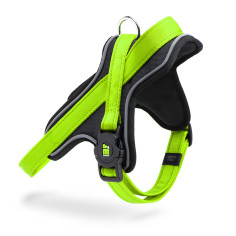 Harnais memopet Vert | MyFamily
