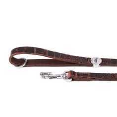 Laisse Tucson en Cuir Véritable Marron | MyFamily