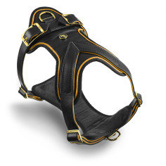 Black and Ochre Hermitage H-Harness in Genuine Leather