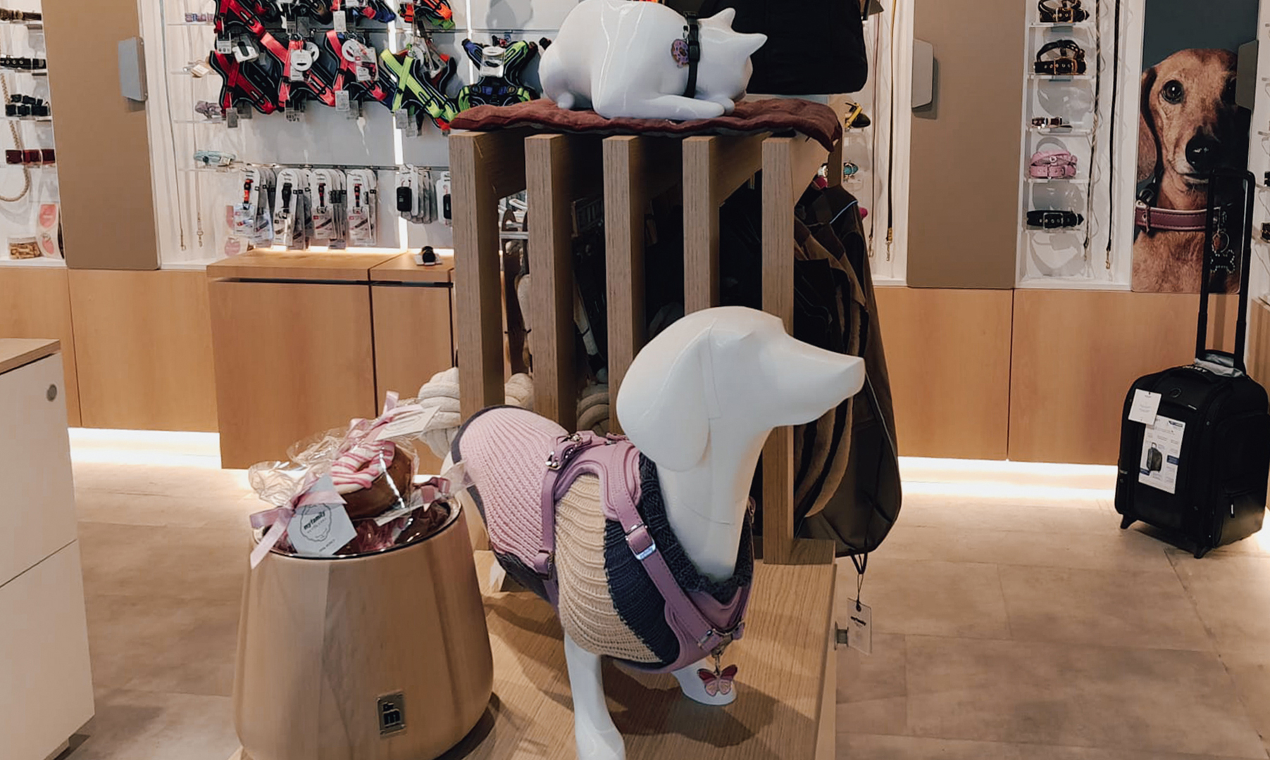torino myfamily store
